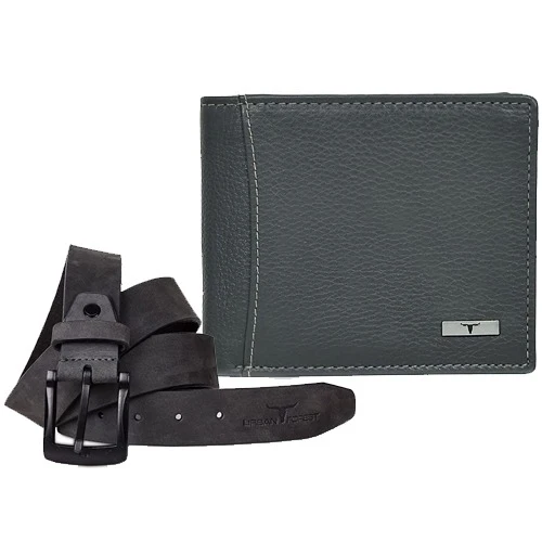 Fantastic Wallet N Belt Combo Gift Set for Men