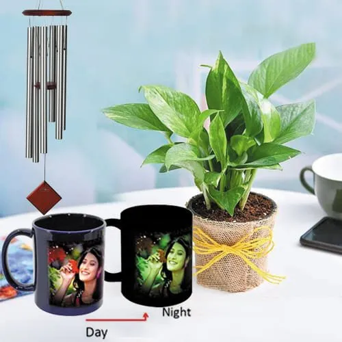 Lovely Personalized Photo Radium Mug with Money Plant N Wind Chime