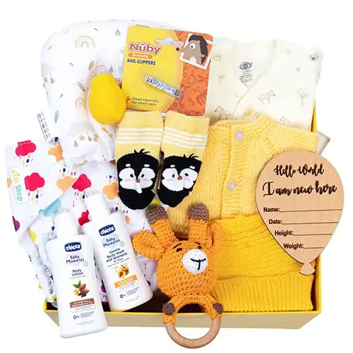 Ultimate Newborn Winter Hamper