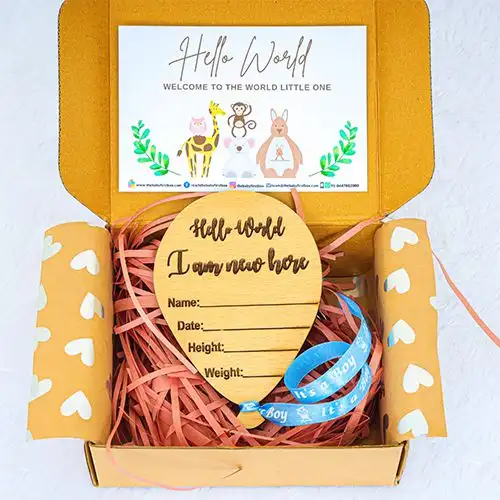 Amazing Hello World Plaque for Newborn