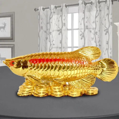 Remarkable Golden Arowana Fish