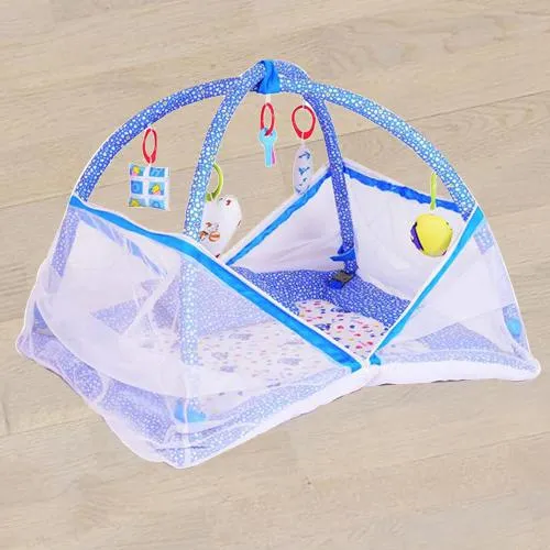 Amazing Kick and Play Gym with Mosquito Net N Bedding Set