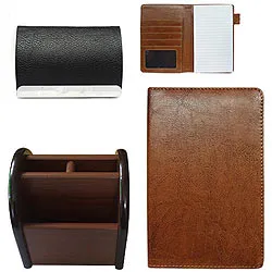 Visiting Card Holder Pen Stand and Multipurpose Passport Holder