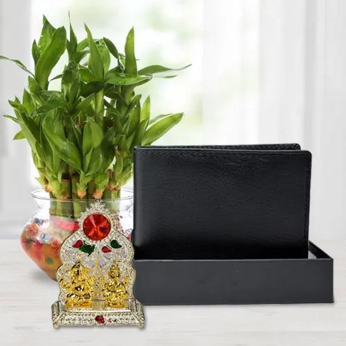 Graceful Lucky Bamboo Plant with a Gents Leather Wallet n Laxmi Ganesh Mandap