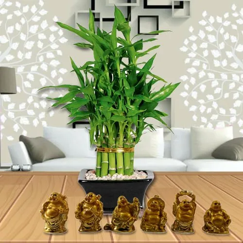 Marvelous Two Tier Bamboo Plant with Set of Laughing Buddha