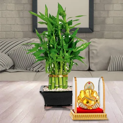 Auspicious Gift of Vighnesh Ganesh Idol with 2 Tier Lucky Bamboo Plant