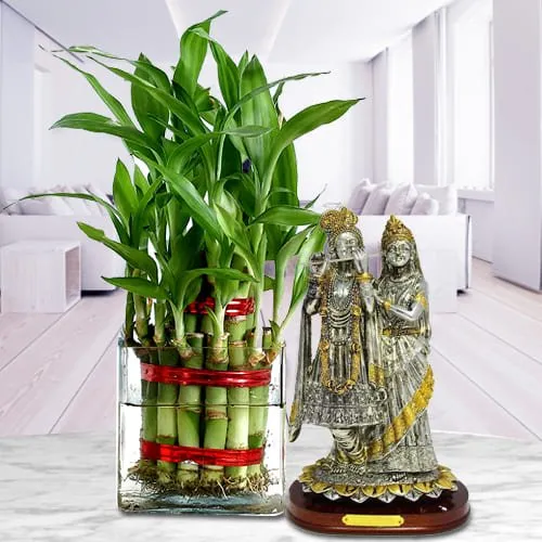 Fantastic Gift Set of Radha Krishna Idol with 2 Tier Lucky Bamboo Tree