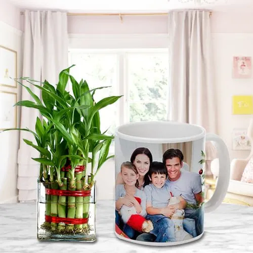 Just For You Gift of 2 Tier Lucky Bamboo Tree in Personalized Coffee Mug