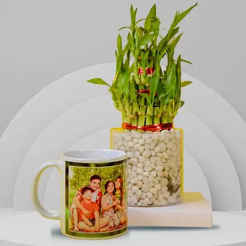 Remarkable 3 Tier Bamboo Plant with Personalized Coffee Mug