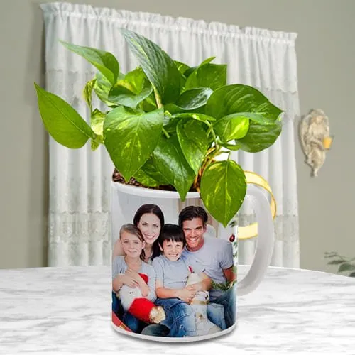 Marvelous Money Plant in Customized Coffee Mug