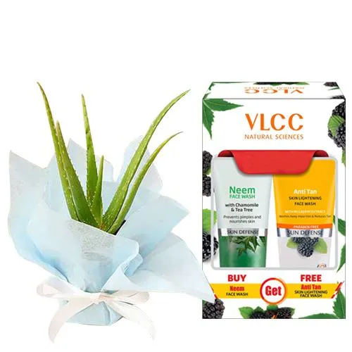 Beautifying VLCC Face Wash and Aloe Vera Plant Gift Combo