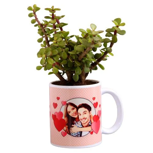 Fantastic Jade Plant in Customize Mug