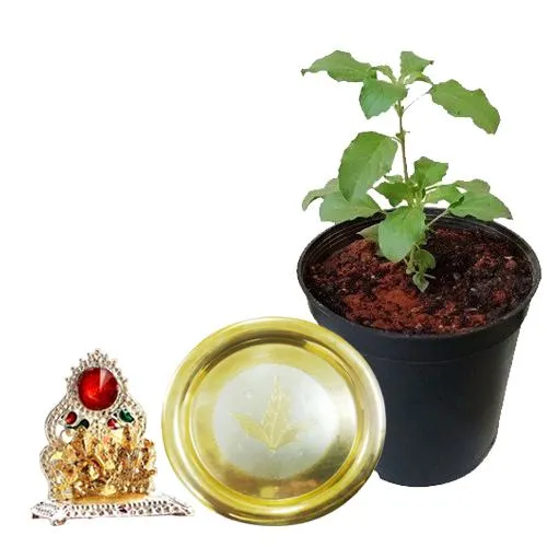 Religious Trio of Tulsi Plant, Mandap n Thali