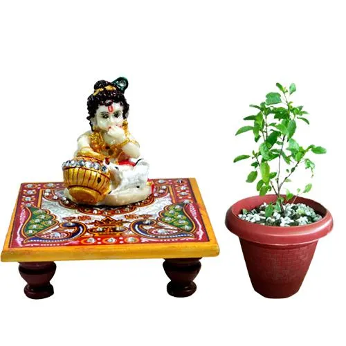 Aesthetic Tulsi Plant n Marble Krishna Chowki Combo