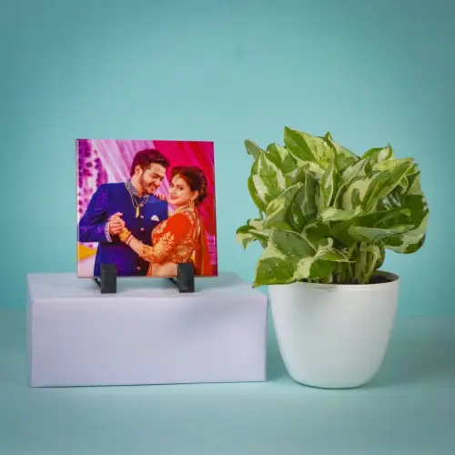 Aesthetic Air Purifying Golden Pothos n Photo Table Clock Duo