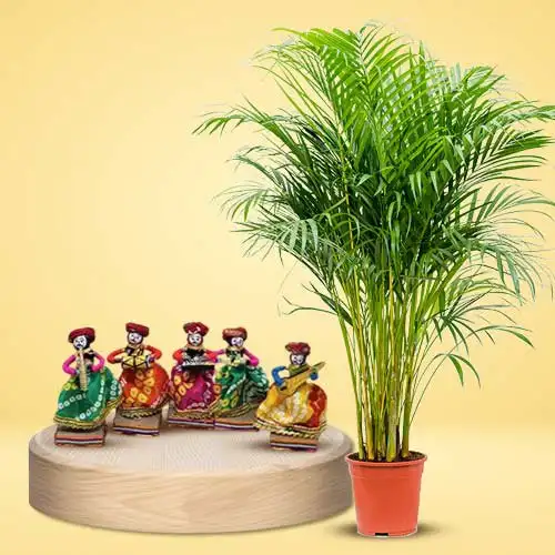 Exotic Gift of Areca Palm Plant with Rajasthani Musician Bawla Puppets