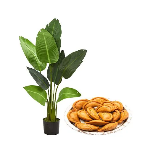 Exotic Gift of Travellar Palm Plant with Khowa Puri Treat