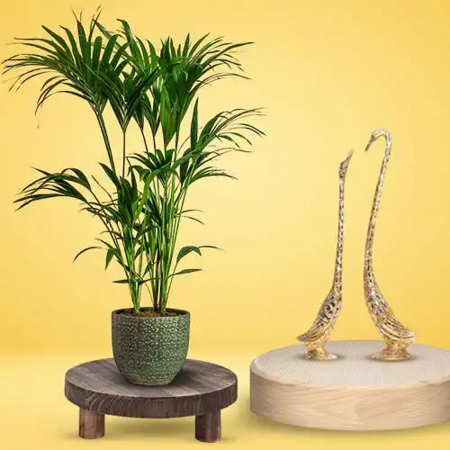 Air Purifying Kentia Palm Plant with Metal Love Birds Figurine Combo