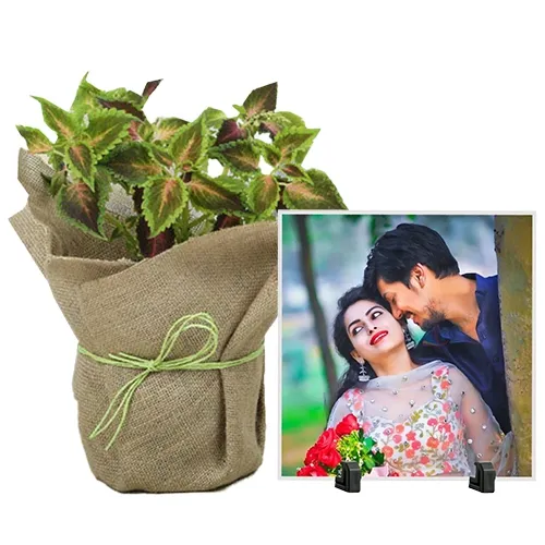 Marvelous Jute Wrapped Coleus Plant N Personalized Photo Tile Set