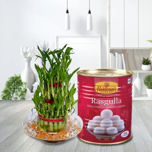 Special 2 Tier Lucky Bamboo Plant with Haldirams Rasgulla