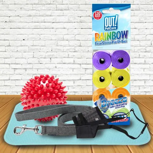 Marvelous Puppies Training Set Gift Hamper