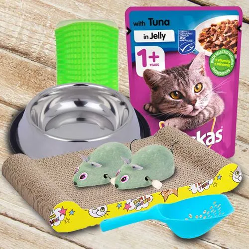 Remarkable Kitten Gifts Hamper