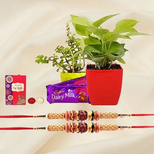 Dazzling Set of Rudraksh N Om Rakhi with Jade N Money Plant