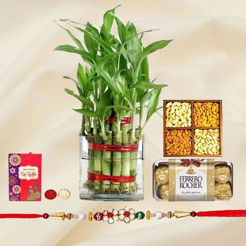 Elegant Rakhi N 2 Tier Lucky Bamboo Plant Arrangement