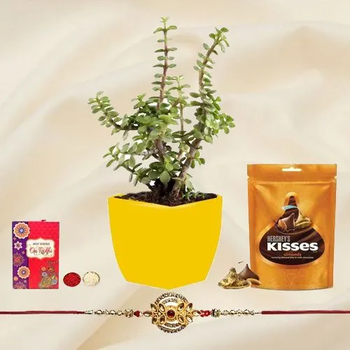 Attractive Jade Plant N Metal Rakhi Collection