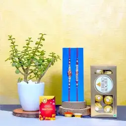 Ferrero Jade Plant Treat with AD Rakhi