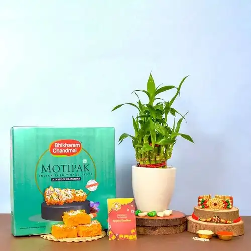 Bhaiya Bhabhi Rakhi with Plant N Motipak