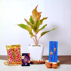 Aglaonema with Twix Choco n Kundan Rakhi 2