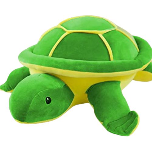 Attractive Gift of Turtle Soft Toy