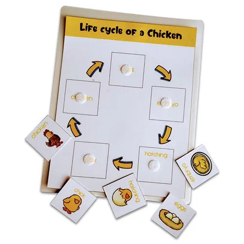 Engaging Life Cycle Learning Set