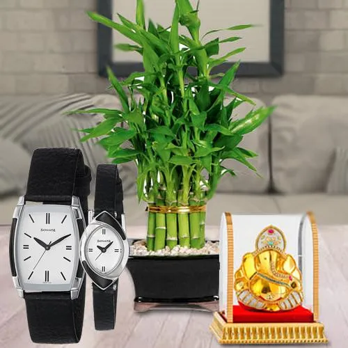 Elegant Lucky Bamboo Plant Vignesh Ganesh N Sonata Watch Combo