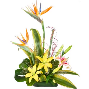 Traditional Pure Desire Arrangement of Lilies and Birds of Paradise